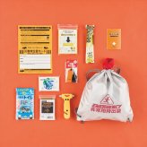  車載防災10点セット BRY-DF  内祝 内祝い お祝 御祝 記念品 出産内祝い プレゼント 快気祝い 粗供養 引出物