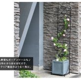 ガーデン エクステリア プランター台付フェンス スリムタイプ 「アーガイル」 フェンス アイアン ガーデニング プランター 柵 仕切り 目隠し 境目 ベランダ つる 薔薇 バラ 朝顔 園芸 ラティス つるバラ 庭 誘引 屋外 新生活