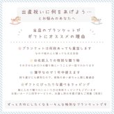【お名前入りブランケット】Dinosaurs Party 恐竜パーティー 名入れ ギフト 出産祝い ニューボーン 誕生日 出産準備 撮影アイテム ベビーブランケット
