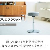 チェア 椅子 ミズノ MIZUNO エクササイズグッズ エクササイズ ル・プリエスクワット スクワットスリール グレー C3JHI905 06 フィットネス トレーニング インテリア