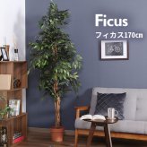 ガーデン エクステリア 観葉植物 フィカス １１２４ Ａ フェイクグリーン 植物 緑 グリーン 癒し 植木 インテリア ガーデニング おしゃれ カフェ リビング プランター ギフト プレゼント 贈り物 オフィス 会社 枯れない 簡単 手入れ 人気 樹木