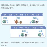 除湿 除湿シート 湿気取り 西川 ドライウェル セミダブル 抗菌防臭 高吸湿 モイスファイン 防カビ からっと寝 られる マット 湿気とり 布団 パッド マットレス 布団下 無地 グレー シンプル 正規品 新生活