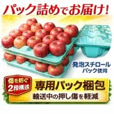 青森県産　りんご　ぐんま名月　訳あり　１０ｋｇ　全国送料無料！