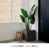 ガーデン エクステリア 「GRITTE」 グリッテ 石調FRPプランター 幅50 (角型) E001-CU500 植木鉢 プランター セメント コンクリート 軽量 大型 75L カバー 庭 インテリア 室内 店舗 おしゃれ 新生活