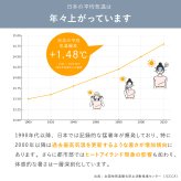 窓用 日よけシート 2枚組 3個セット(計6枚) アーネスト 日本製 遮光率約80％ 断熱効果約40％ UV約76％カット 遮熱シート 断熱シート 窓目隠し レース柄 アルミ蒸着 凹凸ガラス対応 貼り直しOK 46×90cm 西日 日差し 紫外線対策 リビング 寝室 夏