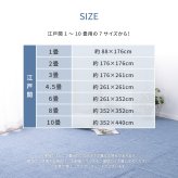 ラグ カーペット 敷き詰め アンバー 江戸間3帖 3畳 軽量 平織 シンプル 裏なし