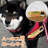 nametag-face ネームタグフェイス ペットうちの子グッズ 犬種 イラスト うちの子 ネームワッペン M Lサイズ 大きめサイズ ネーム ワッペン 刺繍 文字 犬 ハーネス Julius-K9 ユリウス お名前 ペット お名前ワッペン 刺繍ワッペン アイロン接着 マジックテープ 迷子札 愛犬グッズ