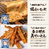 【送料無料】 ビール党おつまみ9選 古伊万里浪漫 創業120余年の海鮮珍味メーカーがお届けする逸品【熨斗/ギフト包装】 誕生日 敬老の日 退職祝い 内祝い 父の日 お中元 海鮮 珍味 高級 おつまみセット 常温保存OK お酒に合う 酒の肴 詰め合わせ お返し 祖父 祖母 父 母 父親 母親 男性 グルメ さきいか えび