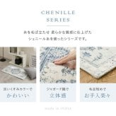 ラグ 薄手 ラグマット 小さい 小さめ おしゃれ くすみカラー シェニール糸 ジャガード織り オリエンタル柄 ネイティブ柄 折りたたみ 裏面滑り止め付き 前 リビング 敷物 インド 70×120cm ポリエステル 綿 インテリア ズレにくい 柔らか