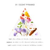 ベルバイ BELLE BAI ベルナンバー５ オードパルファン ／ ヴァーダント ヒア フレグランス女性用 香水 レディーズ 10ml