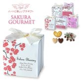 SAKURA 焼き菓子 チョコ 詰め合わせ ギフト 3種8個入 計20セット クッキー パイ スイーツ 個包装 チョコレート【北海道・沖縄県・離島 配送不可】