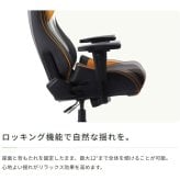 オフィスチェア AKRacing(エーケーレーシング) Pro-X V2 Giants(読売巨人軍モデル) ジャイアンツ ゲーミング 4Dアジャスタブルアームレスト ヘッドレスト ランバーサポート オフィス Pro-XV2Giants オフィス椅子 イス 新生活