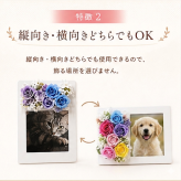 ペット メモリアルフォトフレーム 写真入り フラワーギフト 犬 猫 愛犬 愛猫 うちの子 誕生日 プレゼント 記念日 お祝い 贈り物 ギフト ペットロス 思い出 写真立て 花飾り フラワーアレンジメント 写真入れ替え ペットメモリアル 犬好き 猫好き 家族 大切な家族 記念品 インテリア 母の日 父の日 敬老の日 クリスマス 供養 感謝 オーダーメイド ペット写真 愛犬グッズ 愛猫グッズ