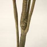 観葉植物 造花 ユッカ BROWN 全高約160cm 大型 フェイクグリーン 本物そっくり おしゃれ インテリア 人工観葉植物 アーティフィシャルグリーン オフィス 店舗 ホテル 開店祝い 室内 青年の木 エレファンティペス フェイク