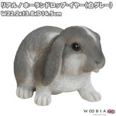 置物 うさぎ ホーランドロップイヤー 白グレー 幅22.2cm woobia ウービア リアル かわいい おしゃれ 玄関 インテリア オブジェ ガーデン ロップイヤー たれ耳 動物 アニマル 癒し 棚 北欧 プレゼント ギフト 卯年 うさぎ好き