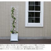 ガーデン エクステリア プランター台付フェンス スリムタイプ 「アーガイル」 フェンス アイアン ガーデニング プランター 柵 仕切り 目隠し 境目 ベランダ つる 薔薇 バラ 朝顔 園芸 ラティス つるバラ 庭 誘引 屋外 新生活