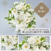 メモリアルアレンジメントM 線香 お供え そのまま飾れる ユリ アレンジメント 生花 花市場から直送 仏花 フラワーアレンジメント お悔やみ花 新盆花 お花 お彼岸 仏壇用 一周忌花 命日 法事 ペットお供え 供花