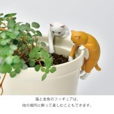 じゃれ猫水草鉢 猫と楽しむミニアクアリウム水草栽培キット 鉢付き フィギュア付き 猫 ネコ ねこ 金魚 植物 グリーン スターターセット オブジェ 置物 おしゃれ インテリア 雑貨 ギフト プレゼント 男性 女性 誕生日 母の日 父の日 敬老の日 引越し祝い 新築祝い お祝 ラッピング対応 無料ラッピング