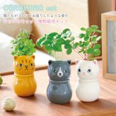 COROCORO cat（コロコロキャット）首をかしげて表情を楽しむ猫型栽培キット バジル ミント ワイルドストロベリー 植物 グリーン スターターセット オブジェ 置物 おしゃれ インテリア 雑貨 ギフト プレゼント 男性 女性 誕生日 ラッピング対応 無料ラッピング