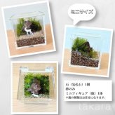 苔テラリウム制作キット コケテラリウム おしゃれ 贈り物 コケインテリア 母の日ギフト 手作りキット 創作キット 苔インテリア 苔リウム コケリウム 作成キット お誕生日 おうち時間 ステイホーム 敬老の日 ワークショップ 父の日 イベント【アクリルケース＆鹿】