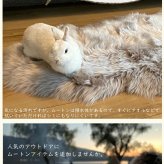 【アウトレット価格】 天然 ムートンラグ 1匹 在庫処分のため ムートン ラグ 1匹サイズ ムートンフリース ニュージーランド原皮 アイボリー ベージュ ブラウン 長毛 毛皮 マット ソファ カーペット ファー 羊 もこもこ 毛皮ラグ 敷物 クッション 座布団 1匹物