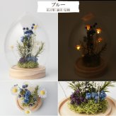 名入れ LEDフラワー マーガレット ガラスドーム タマゴ型 フラワーギフト 花ギフト 間接照明 インテリア プレゼント 誕生日 記念日 母の日 お祝い 女性