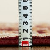 ラグ カーペット 玄関 屋内 屋外 輸 入 ネカル アイボリー 約50×80cm 長方形 民族調 エスニック モダン シンプル オールシーズン 丈夫 50×80cm ルカス レッド 新生活