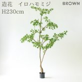 観葉植物 造花 イロハモミジ BROWN 全高約230cm 大型 フェイクグリーン 高級 本物そっくり リアル おしゃれ 和風 和モダン インテリア 人工観葉植物 アーティフィシャルグリーン オフィス 店舗 ホテル 旅館 開店祝い 室内 リビング 玄関 風水 もみじ 紅葉 カエデ