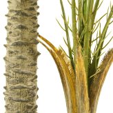 観葉植物 造花 フェニックス ロベレニー BROWN 全高約190cm 大型 フェイクグリーン 高級 本物そっくり リアル おしゃれ インテリア 人工観葉植物 アーティフィシャルグリーン 2本立ち オフィス 店舗 ホテル 開店祝い 室内 リビング 玄関 風水 ヤシの木 シンノウヤシ