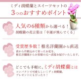 ＼早割！8/31の16時まで／ 敬老の日 ギフト プレゼント 早割 人気 花 生花 蘭 胡蝶蘭 鉢植え ミディ 2.5号 洋蘭園 フラワーギフト バウムクーヘン スイーツ お菓子 洋菓子 花とお菓子 60代 70代 80代 90代 おじいちゃん おばあちゃん 孫 孫から おいもや