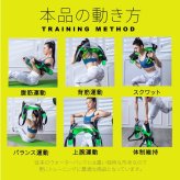 ウォーターバッグ 体幹 12.5kg 体幹トレーニング コアトレーニング トレーニング アクアバッグ 水 ウエイトトレーニング ウエイト 筋力 筋トレ 送料無料 スポーツ ジム 野球 トレーニング