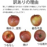 青森県産　りんご　世界一　特大　訳あり　10kg　全国送料無料