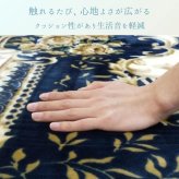 ラグ カーペット 『DXﾐﾚｱﾑ』 200×240cm