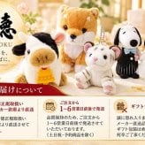 日本ラグビーフットボール協会 公式マスコット レンジー ジー ぬいぐるみ ボールチェーン付き マスコット キーホルダー ラグビー 日本代表 応援 グッズ プレゼント ギフト