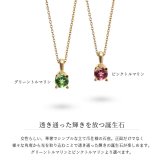 トルマリン ネックレス K14ゴールド ピンクトルマリン ハワイアンジュエリー ネックレス 14K K14ゴールド 14金 イエローゴールド ピンクゴールド ホワイトゴールド 10月誕生石 一粒 ギフトラッピング可能 プレゼント ハロウィン 【品番：CG-GP501-10】