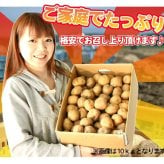 きたあかり 9.5-10kg 訳あり 北海道 じゃがいも S-Mサイズ 送料無料  ※沖縄は送料別途加算 キタアカリ