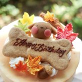 犬用ケーキ 誕生日 ちぃさい秋みぃ～つけた紅葉いちごショートケーキ レギュラーサイズ 無添加 食いつき 人気 おすすめ 手づくりごはん 小型犬 犬 小さいサイズ バースデー ケーキ フードケーキ ごはん プレゼント ギフト 贈り物 お誕生日 お迎え記念日 快気祝い ご贈答用 結婚祝い パーティー お茶会 犬友 猫友 お祝い お誕生日 ワンちゃん ペットフード ドッグフード