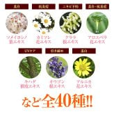 素肌自慢EX プレミアムモイスチャーエッセンスマスク / フェイスマスク シートマスク 30枚 ヒト幹細胞エキス ヒト由来乳酸菌 ビタミンC誘導体 コラーゲン ヒアルロン酸 保湿 ハリ ツヤ 