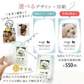 アクリル フォトスタンド ペット オーダー 名入れ 犬 猫 アクリルフォトフレーム アクリルフォトスタンド おしゃれ スタンド 写真立て メモリアル プレゼント ギフト ラッピング