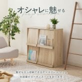 収納家具 ラック フラップ式 ディスプレイ 単品 2台セット RCC-1716 RCC-1716-2S ボックス収納 オープン棚 おしゃれ スリム 壁面 収納 ウォールシェルフ 本棚 雑誌 CD DVD 絵本 棚付き キッチン 子供部屋 一人暮らし
