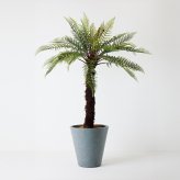 観葉植物 造花 ディクソニア BROWN 全高約183cm 大型 フェイクグリーン 高級 本物そっくり リアル おしゃれ 珍しい インテリア 人工観葉植物 アーティフィシャルグリーン オフィス 店舗 ホテル 開店祝い 室内 リビング 玄関 風水 木性シダ