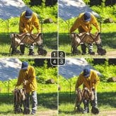 【公式】 [CAMPHACKで紹介されました]キャリーワゴン  100kg 台車 大容量  アウトドア レジャー 部活 キャリーカート 折りたたみ ODW-980 アイリスオーヤマ