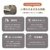 ラグ い草 ギャベ 自然素材 抗菌防臭 滑り止め不織布 約191×191cm