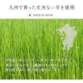 夏ラグ 夏用カーペット 玄関マット 室内 おしゃれ マット い草ラグ 日本製 抗菌防臭 滑り止め ウレタン 新生活 ラグマット 北欧調 約70×120cm