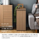 ゴミ箱 ドロワーダストボックス 幅30cm 奥行45.5cm 高さ70cm ゴミ箱 キャスター付き 天板 ダストボックス 45L 木目調 ひとり暮らし ラック 棚 ごみ箱 シンプル 清潔感 ナチュラル ブラウン すき間収納 45リットル おしゃれ ウッド