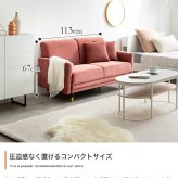 ソファ 座椅子 2人掛け コンパクト ー ベロア フロア ロー 二人用 2P 小さい 小さめ 省スペース クッション付き ひとり暮らし 一人暮らし 高級感 高見え 上質 幅113 1K ワンルーム リビング 組み立て簡単