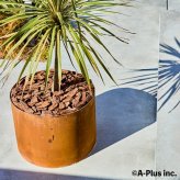 コールテン鋼 高級植木鉢 おしゃれ 大型 直径60cm 丸型 アンティーク 経年美 Patina レイズド・ラウンドプランター600 底なし A-PLUS 屋外 観葉植物 多肉植物 寄せ植え 花 鉢カバー 北欧 モダン ガーデニング 玄関 庭 パティナ