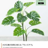 【高さ90cm】光触媒人工観葉植物 モンステラ 幅50cm×奥行50cm×高さ90cm リビング ダイニング 天然木 お部屋に気軽に飾れて空間を美しく彩るフェイクグリーン 本物の植物のようなリアルな質感とインテリアに馴染む風合いが魅力です