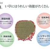 クッション い草 い草クッション バテイ 馬蹄 花柄 『フォンターナ』 約40×38cm 2枚組 新生活