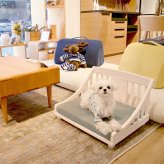 ペットベッド giocoso パイン材 天然木 S・M ライトブラウン・ホワイト W52.5xD42.8xH34cm 犬 猫 ペット家具 ペット用品 ライトブラウン ホワイト おしゃれ